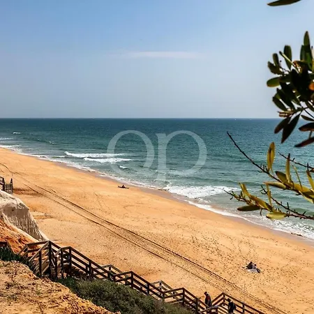 Luxury Beachside فيلة